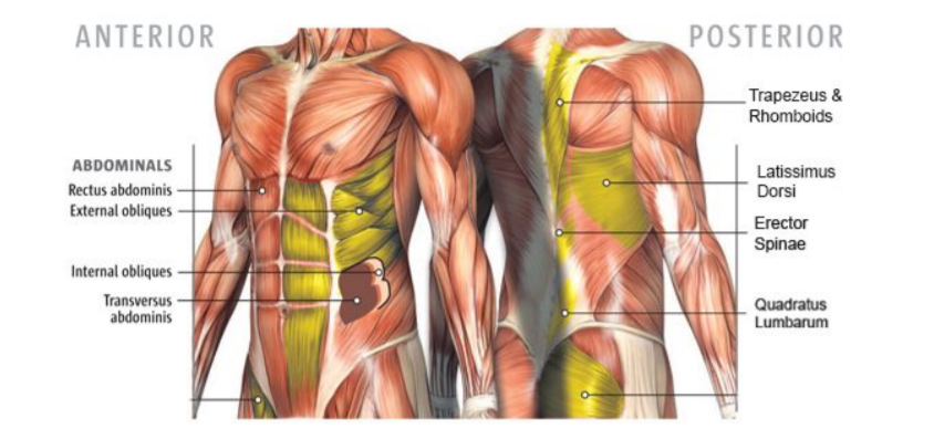 Explore Your Core & More